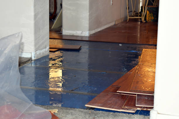Professional Flood Cleanup technician working in Mystic, CT